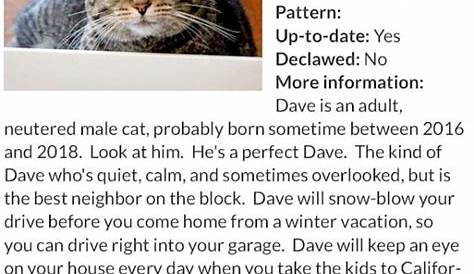 Great adoption bio for a senior cat whose person got sent to a nursing