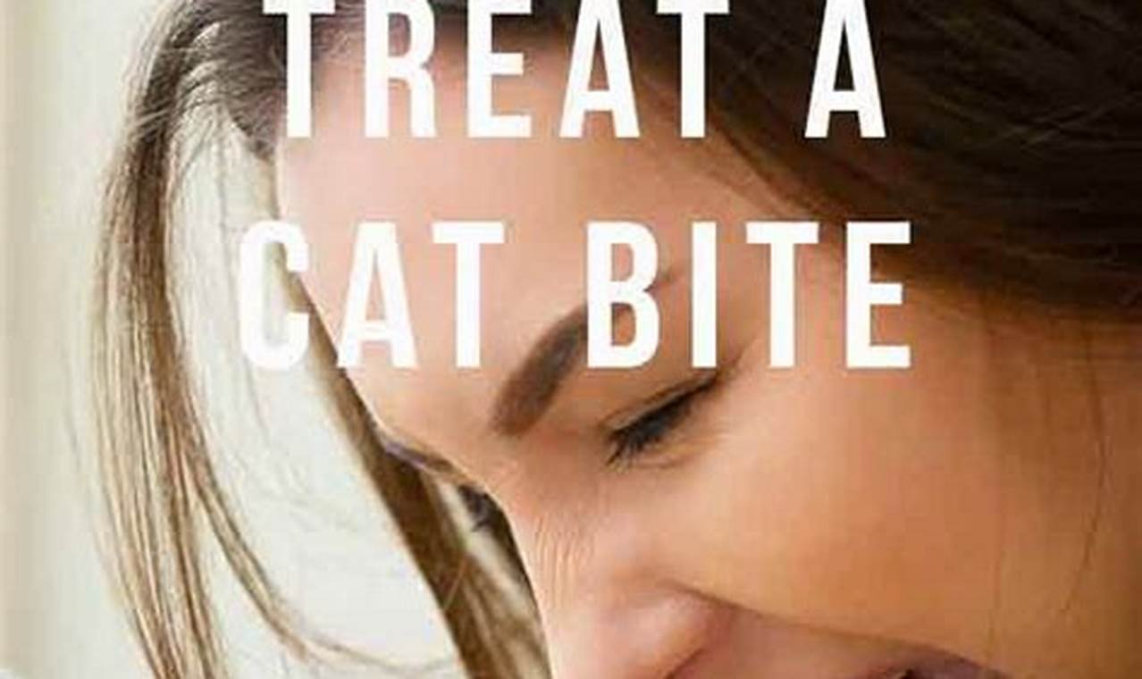 cat bite infection treatment