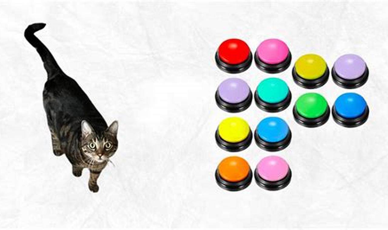 cat buttons for communication