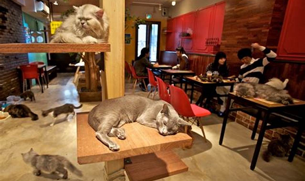 cat cafe eastview mall
