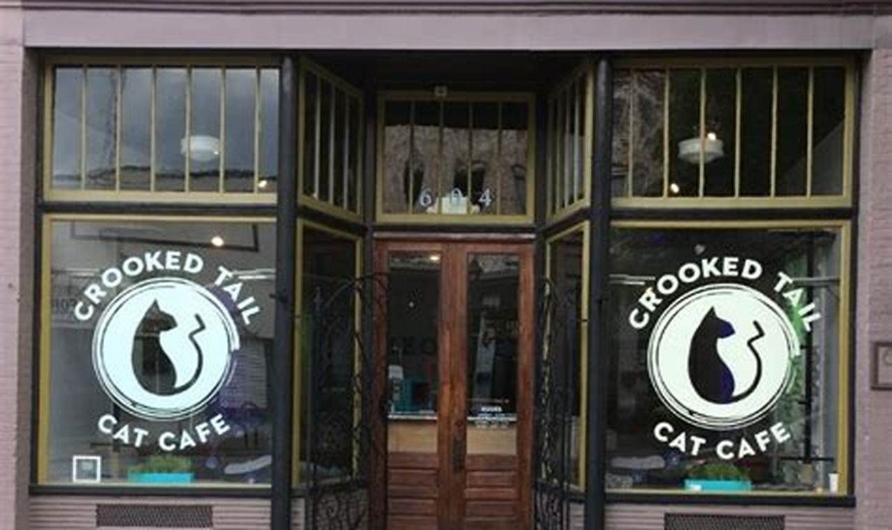 cat cafe greensboro nc