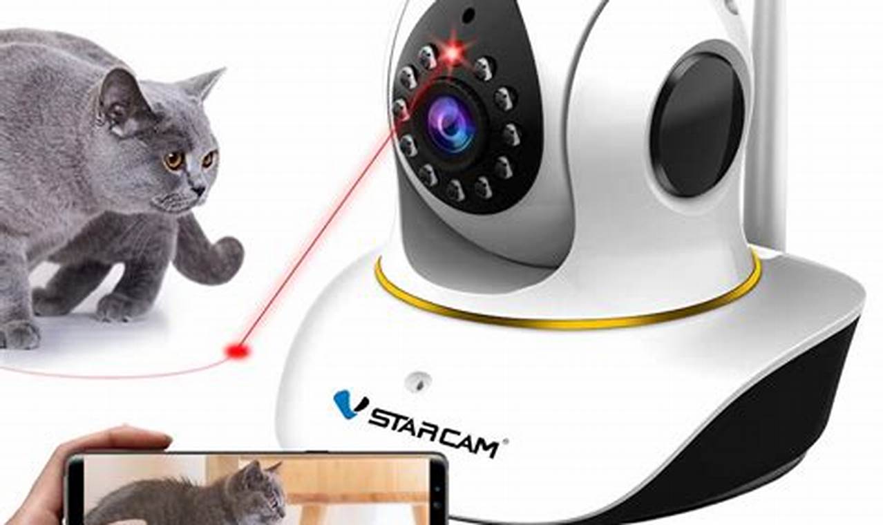 cat cameras for home