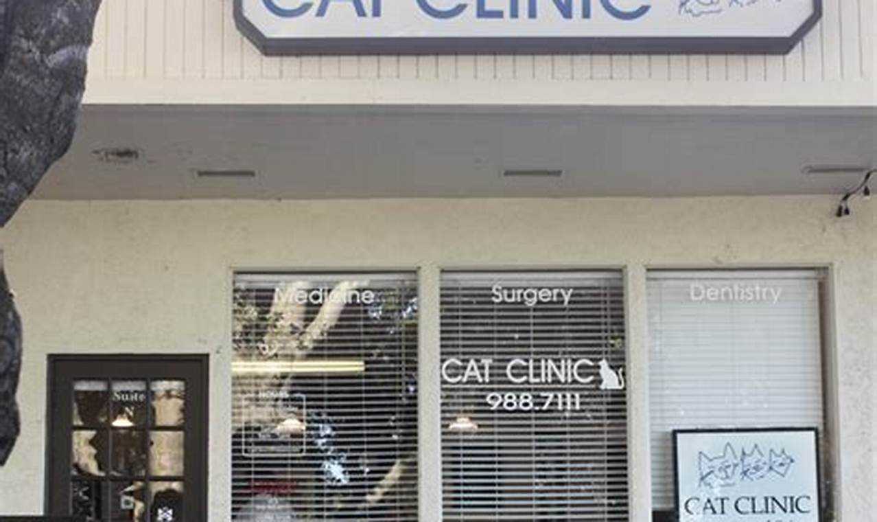 cat clinic of folsom
