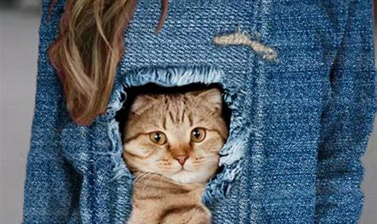 cat clothes for women