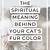 cat color meanings spiritual