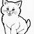 cat coloring picture