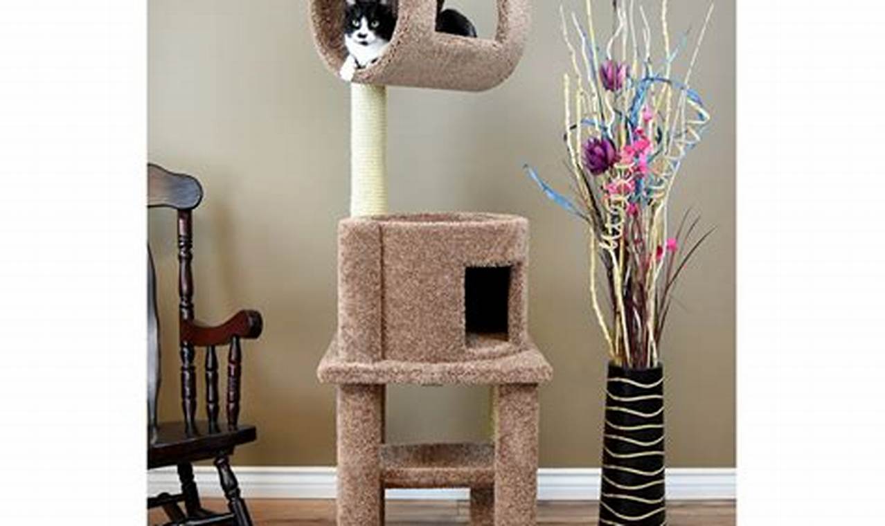 cat condos and towers