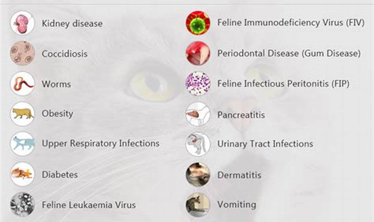 cat diseases that cause death