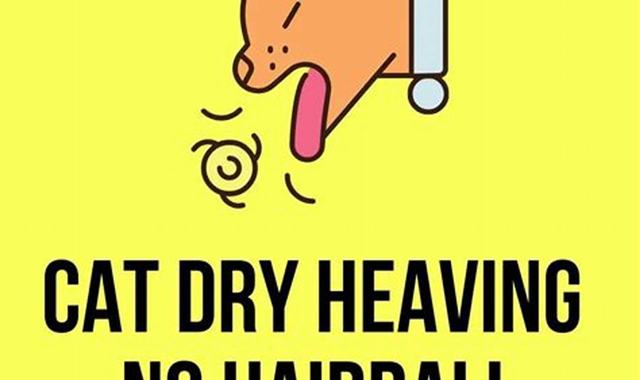 cat dry heaving no hairball