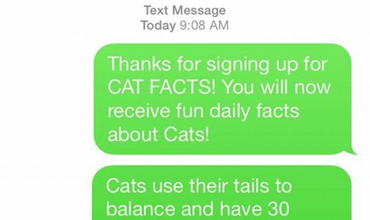 cat facts text prank