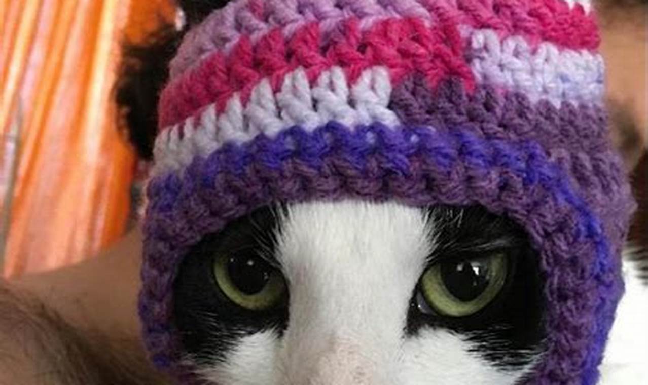 cat hat crochet pattern free