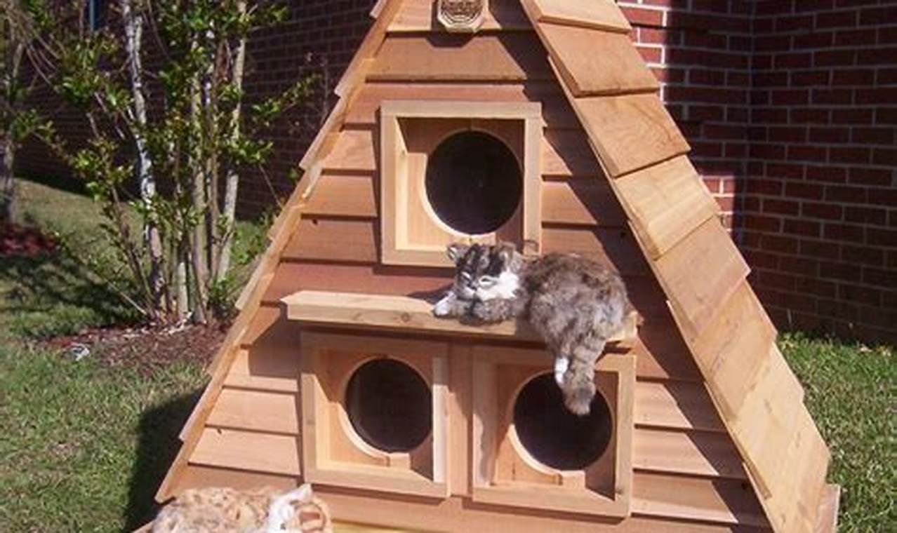 cat houses for outdoors
