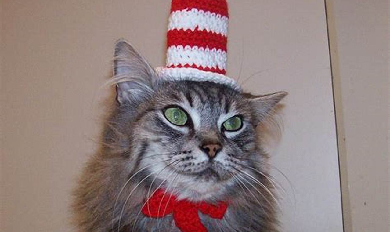 cat in that hat