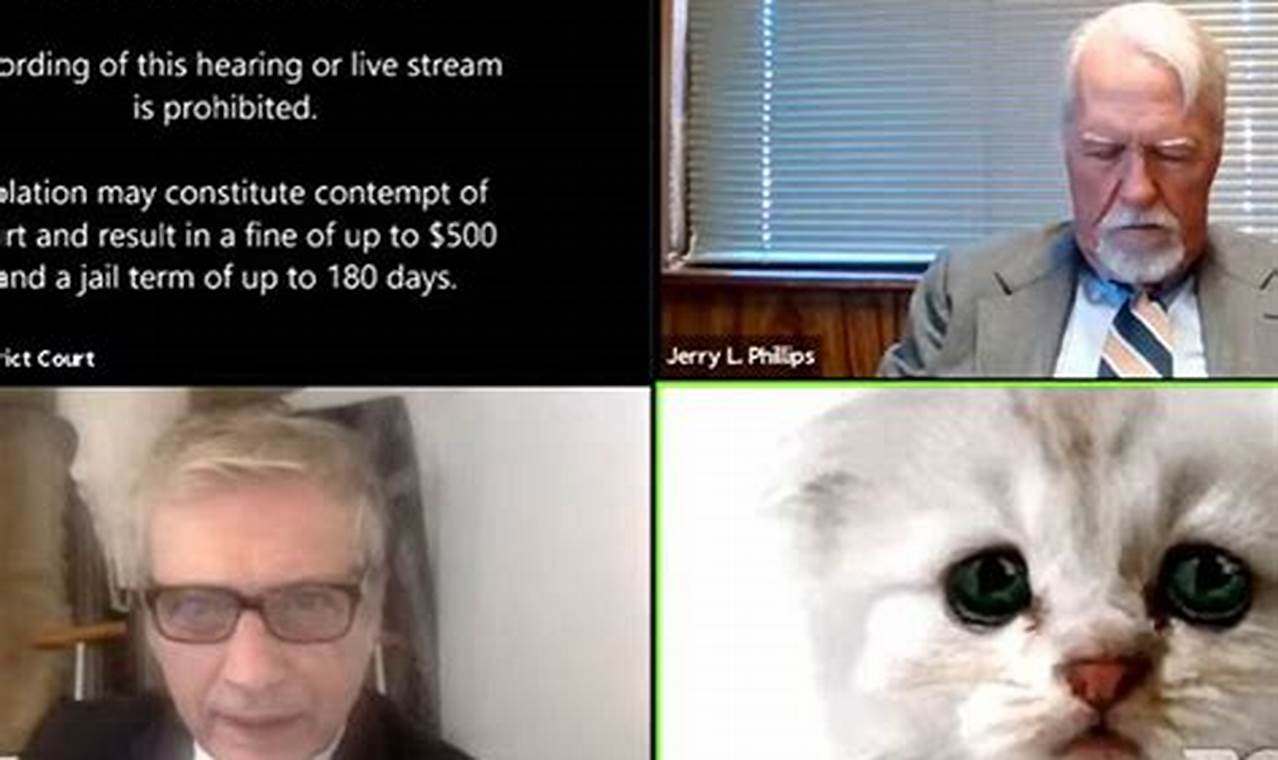 cat lawyer zoom call