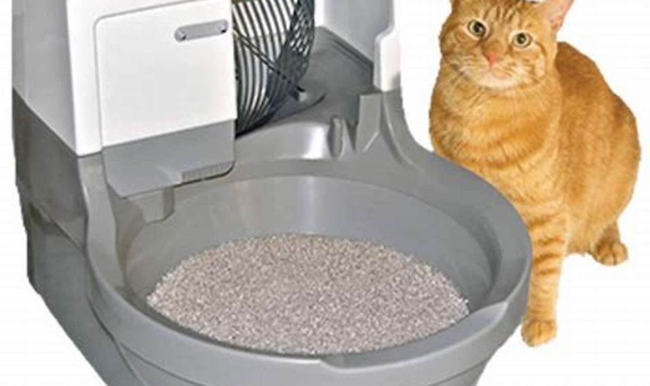 cat litter box that cleans itself