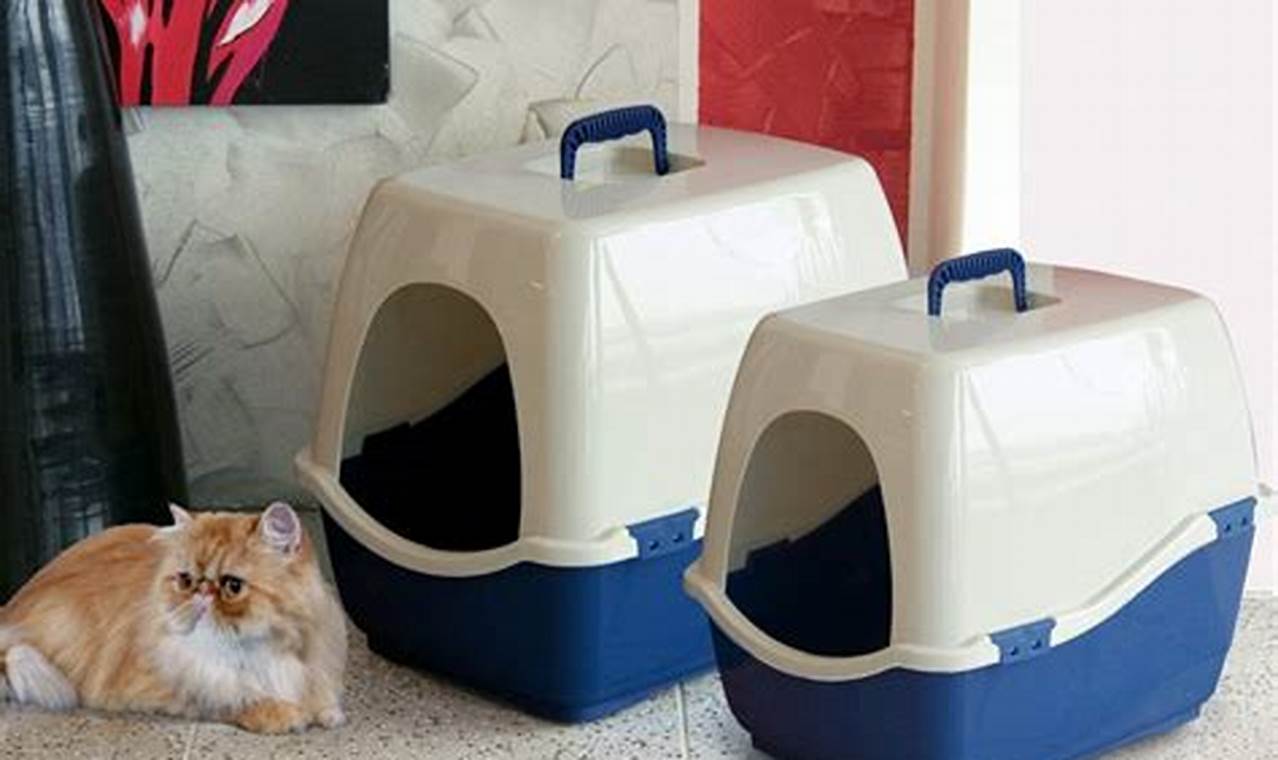 cat litter boxes walmart
