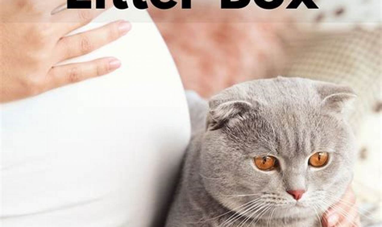 cat litter while pregnant