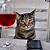 cat looking through wine glass