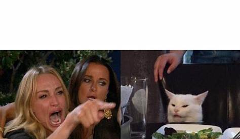 Woman Screaming At Cat Meme Template