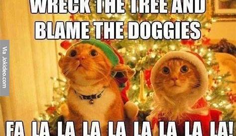 Pin by Karen on Cat humor | Cat holidays, Christmas cats, Christmas cat