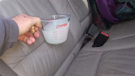 How To Get Cat Urine Out Of A Car Seat