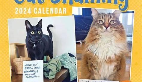 The daily calendar is comprised of hundreds of adorable cat photos