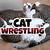 cat wrestling ring