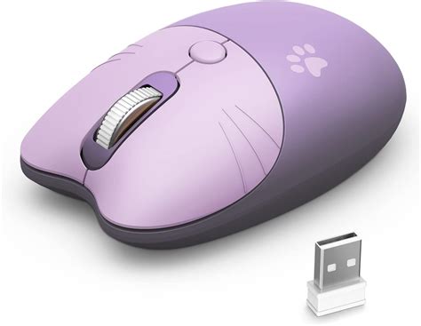 cat 2 mouse and