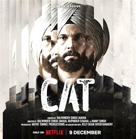 cat 2022 tv series episodes