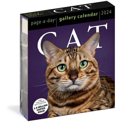 cat a day calendar 2024