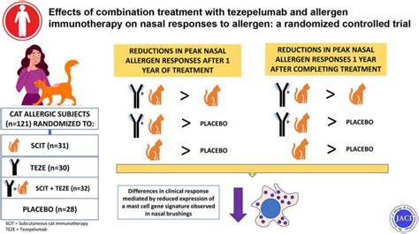 cat allergy immunotherapy