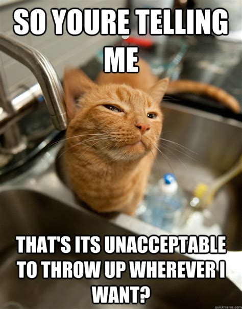 Cat Almost Throwing Up Meme