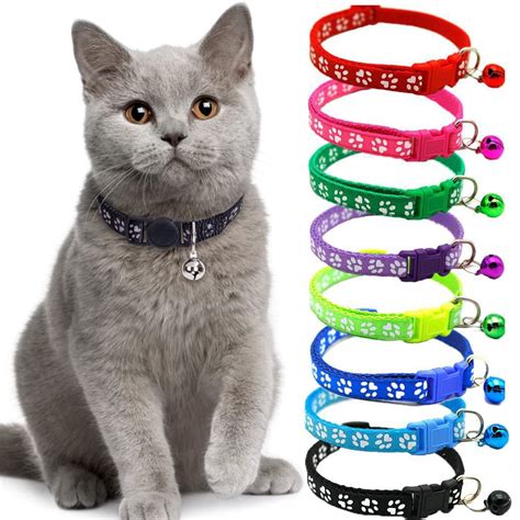 Cat And Collars