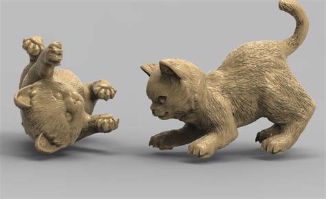 Cat Animal 3D: A Virtual Adventure For Cat Lovers