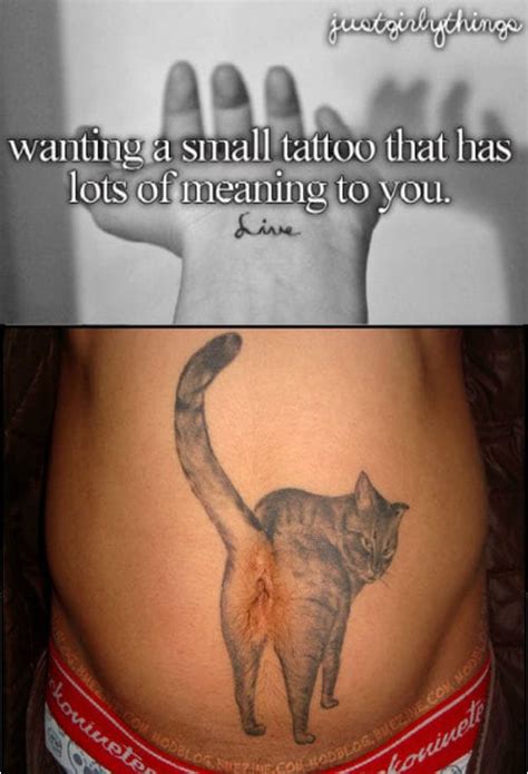 5 Cat Anus Tattoo Facts