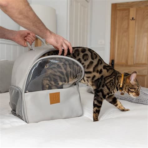 Cat Backpack Petstock