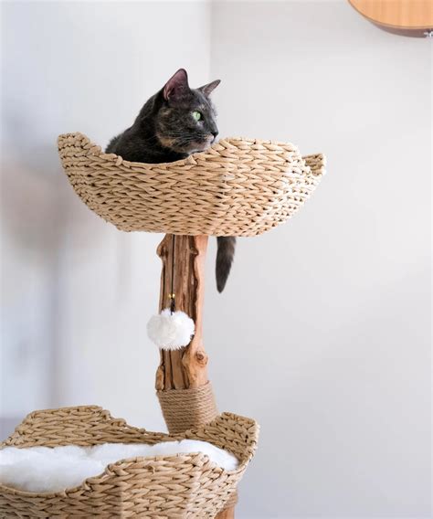 Cat Basket For Tree