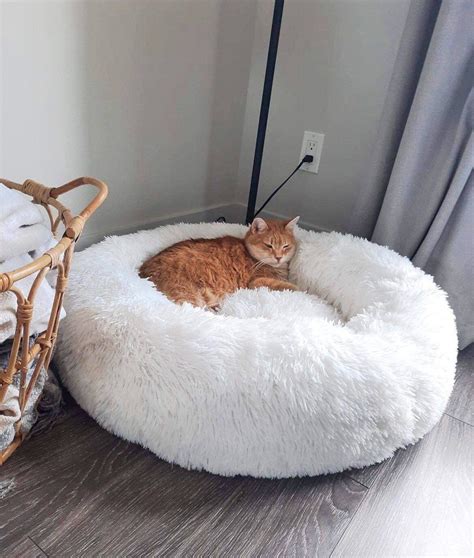 Cat Bed Calming