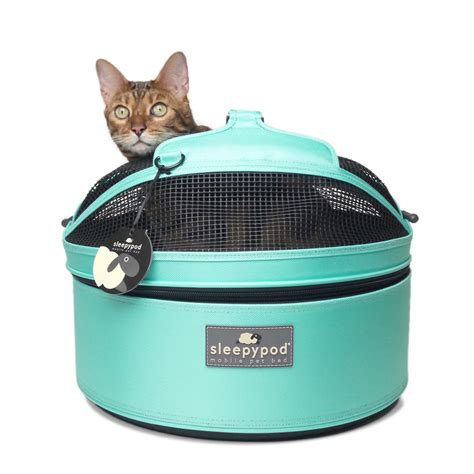 cat bed carrier