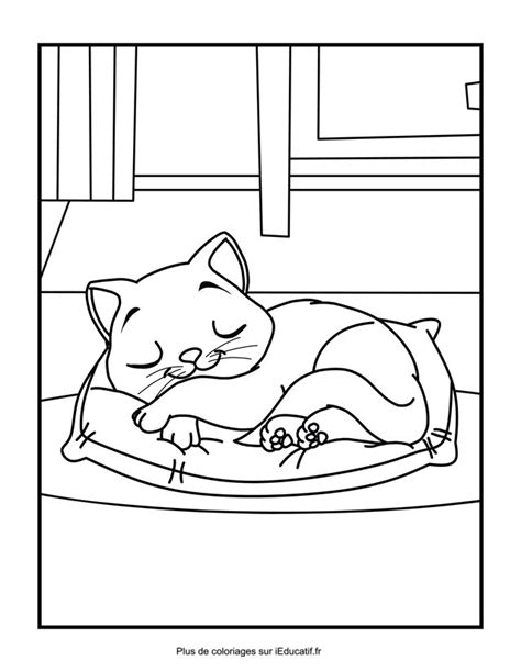 cat bed coloring page printable template