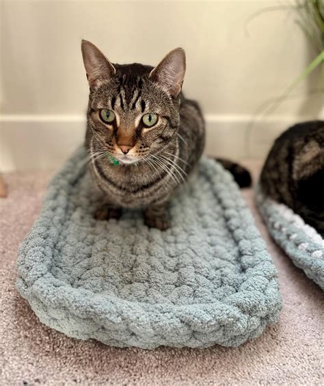 Cat Bed Crochet Kit