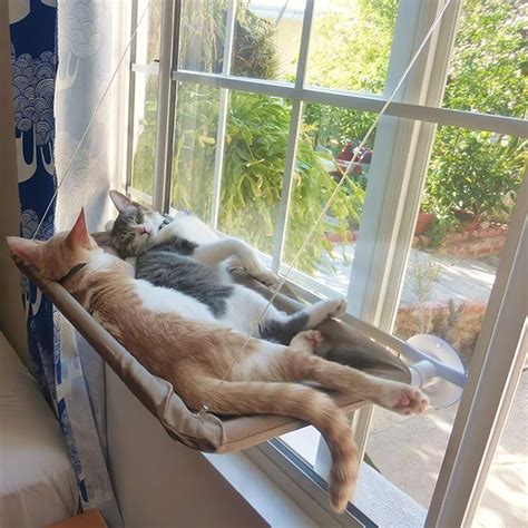 Cat Bed That Hangs On Window