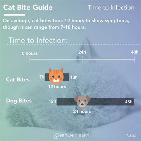 Cat bite
