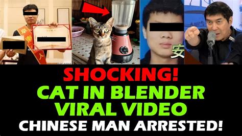cat blender guy arrested