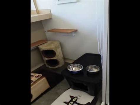 cat boarding eugene oregon