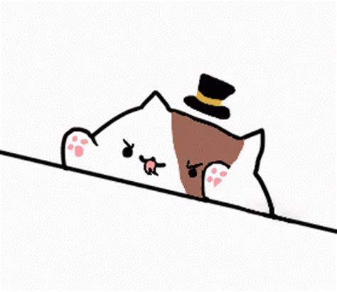 Cat Bongo Gif