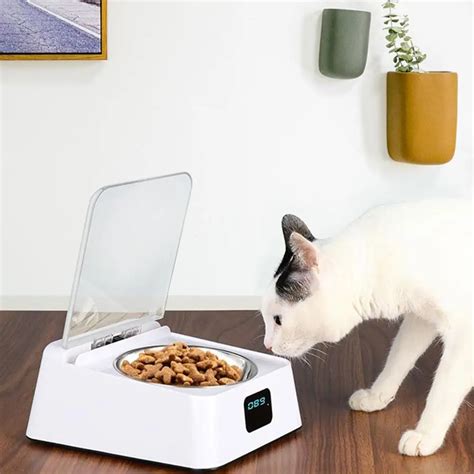 Cat Bowl With Sensor