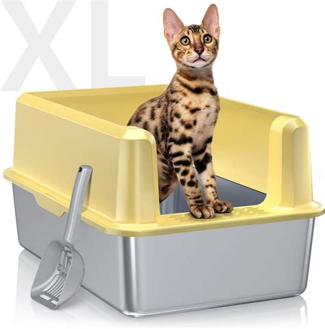 Cat Boxes For Big Cats