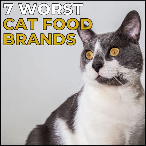 Cat Brands To Avoid