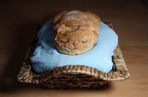 Cat Bread Loaf Bed